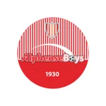 Alphense-Boys stadionstoelen