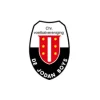 De-Jodan-Boys-logo-stadionstoelen