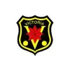 TV-Victoria-stadionstoelen